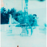 Palmira (in exhibition)