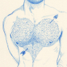Cupido