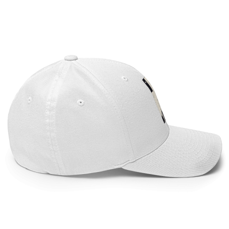 Gavilán Negro Cap