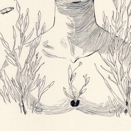 Posidonia