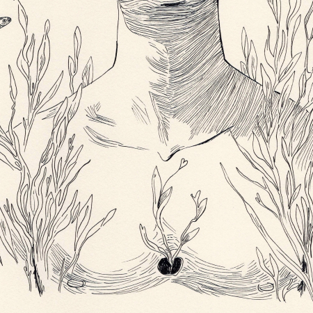 Posidonia