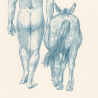 Quijote