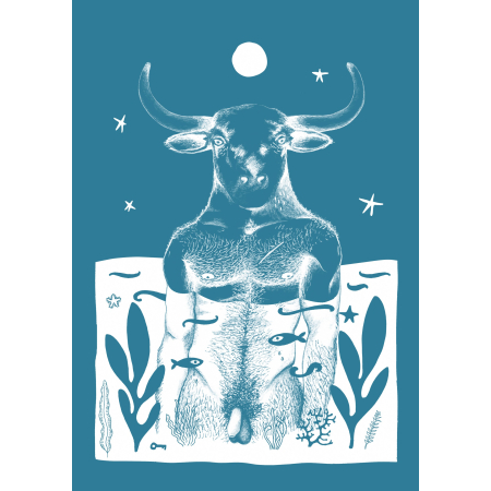 Toro (Cloud Edition)