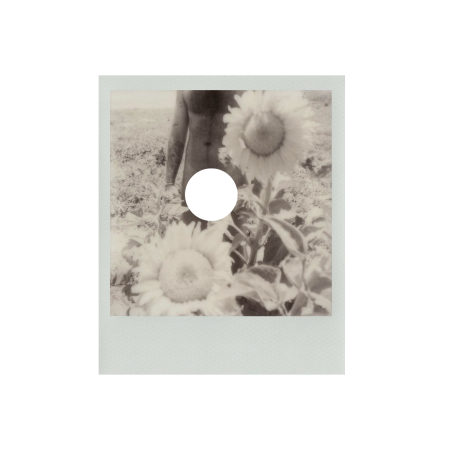 Girasoles - œuvre d'art queer par l'artiste Bran Sólo. Acheter de l'art en ligne
