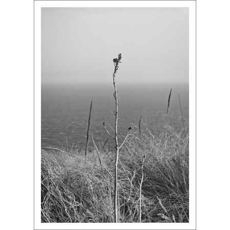 Calblanque