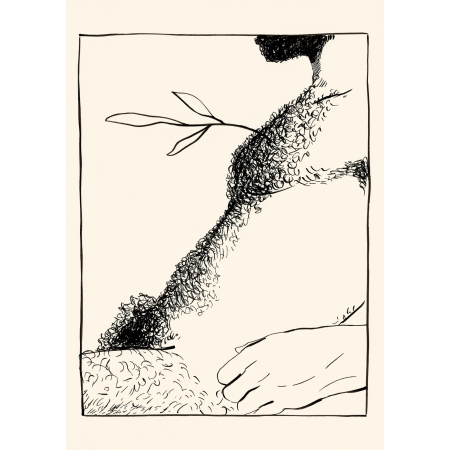 Bosque Negro