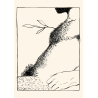 Bosque Negro