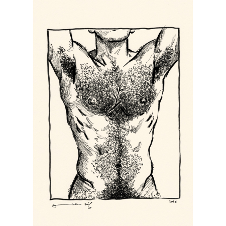 Macho (n. 2)