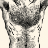 Macho (n. 2)