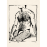 Macho (n. 5)